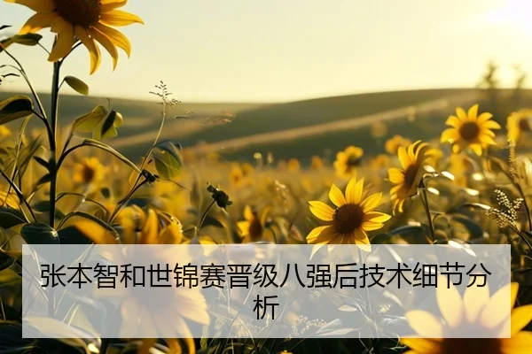 张本智和世锦赛晋级八强后技术细节分析